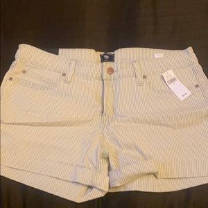 Gap Shorts
